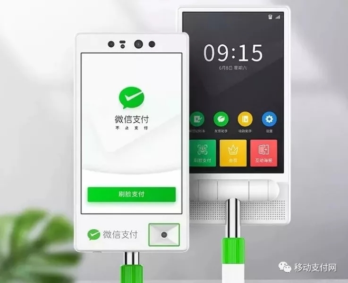 青蛙Pro