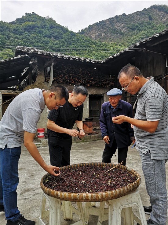恒豐銀行工作人員就牛背山花椒銷路拓展進行現場調研
