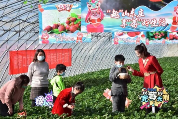 北京農商銀行守護“莓”好 助力鄉村振興
